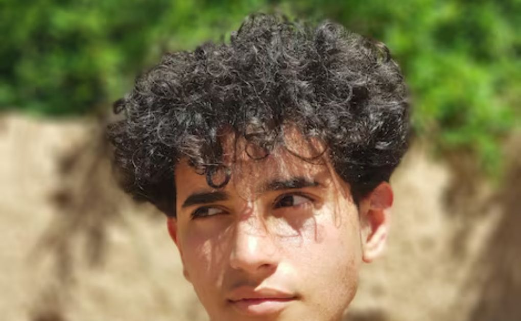 Curly Hairstyles for Men: Top Looks for Every Hair Length image