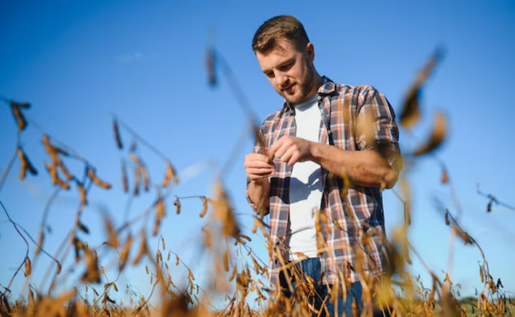 Professional Haircuts for Men: Modern Trends and Classic Looks image