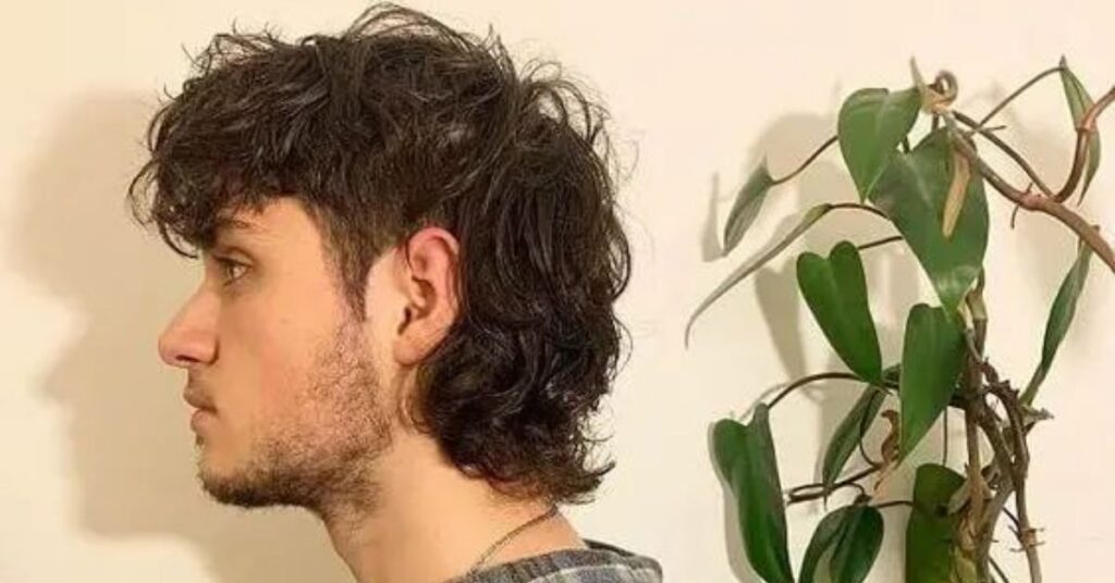 long tail modern mullet male