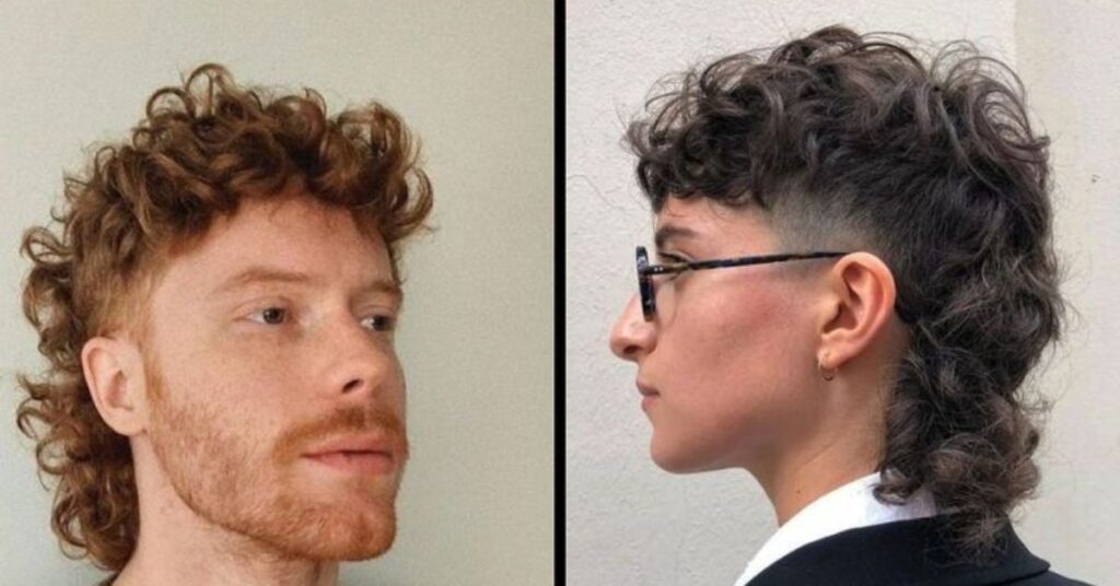 wolf cut mullet hybrid